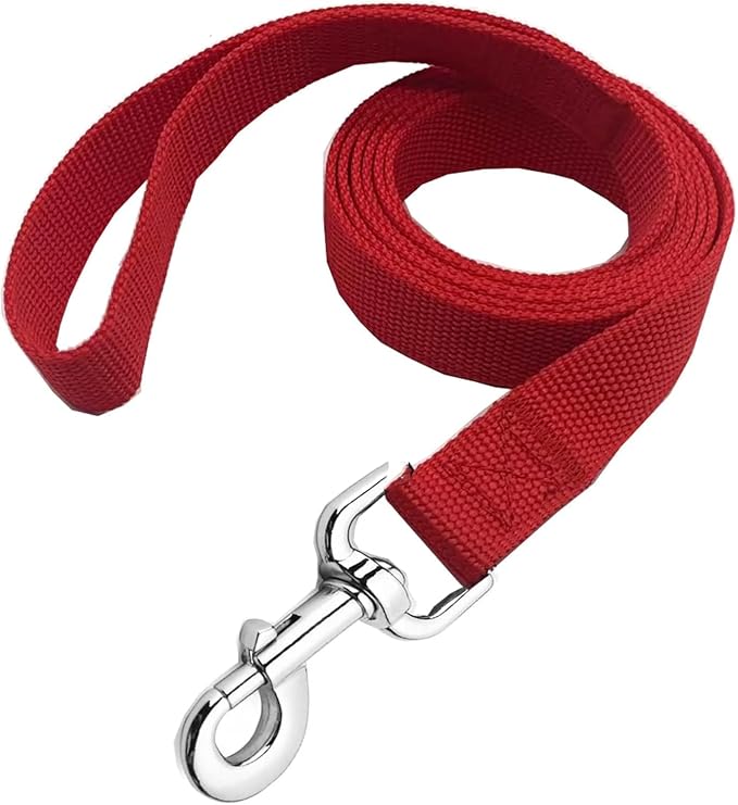 Strong Nylon Dog Leash, 4FT/ 5 FT/ 6FT Dog Leashes for Small Medium Dogs