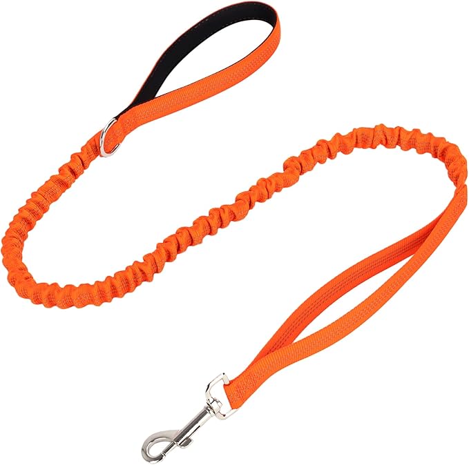 WYuZe 4 FT Bungee Dog Leash for Strong Small Dogs - Reflective, Shock Absorbing, Elastic Nylon Leash with Padded Handle for Safety Comfort No Pull Walking Training (Orange, 3/4"-Wide)