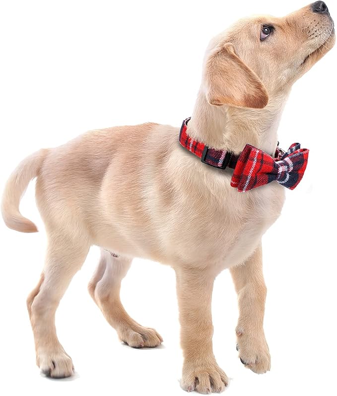 Faleela Soft &Comfy Bowtie Dog Collar,Detachable and Adjustable Bow Tie Collar,for Small Medium Large Pet (L, Red)