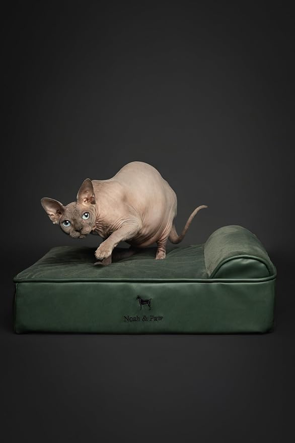 NOAH & PAW Small Dog Bed, 20x15x6.5 Inch, Cat Bed for Indoor Cats, Orthopedic Eggshell Memory Foam Infused with Cooling Gel, Water Resistant, Machine Washable, Includes Inner Cover (Faux Leather)