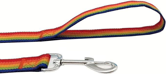 TAIAN 4FT/5FT/6FT Strong Dog Leash, Nylon Dog Leashes for Small Medium Large Dogs (1 in x 5 ft, Rainbow)