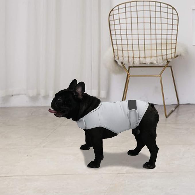 Comfort Dog Anxiety Relief Coat, Dog Anxiety Calming Vest Wrap for Thunderstorm,Travel,4th of July Fireworks,Vet Visits,Separation Anxiety Relief for Dogs (Medium (Pack of 1), Light Gray)