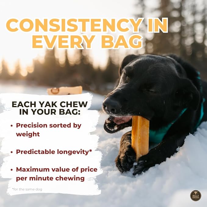Bully Bunches Premium Fruit-Flavored Himalayan Yak Chew for Dogs - 100g, All-Natural, Long-Lasting, Authentic Yak Milk, Healthy Dental Chew, High-Protein (Medium Assorted - 4PK, Assorted)