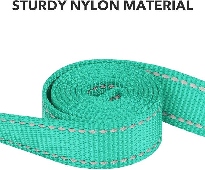 Taglory Dog Leash for Small Dogs, Double-Sided Reflective for Night Walking, Neoprene Padded Handle, 3/4 inch by 5 ft, Lightweight for Small Medium Breeds up to 30 lbs, Turquoise