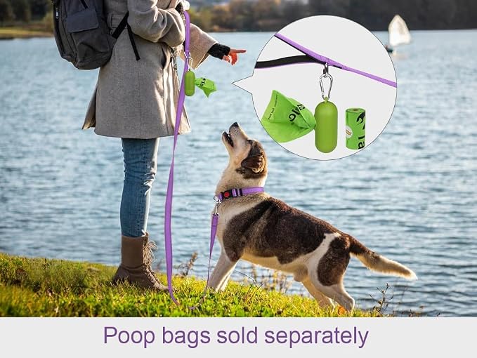 Taglory Dog Leash for Small Dogs, Double-Sided Reflective for Night Walking, Neoprene Padded Handle, 3/4 inch by 6 ft, Lightweight for Small Medium Breeds up to 30 lbs, Purple