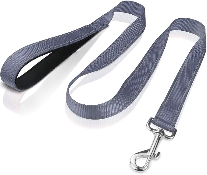 FunTags 4FT Grey Reflective Dog Leash for Large & Medium Dogs Training, Soft Padded Handle Comfortable Grip, Heavy Duty Nylon, Reflective for Night Walking, 1in Wide