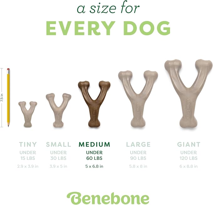Benebone 2-Pack Wishbone Durable Dog Chew Toy for Aggressive Chewers, Real Bacon Made in USA, Medium