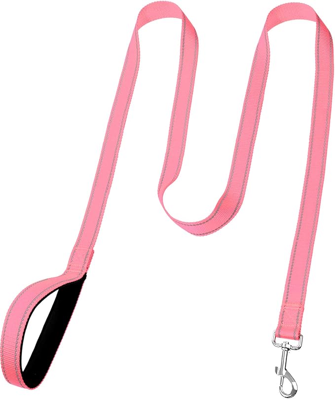 FunTags 6FT Neon Pink Reflective Dog Leash for Large & Medium Dogs Walking, Soft Padded Handle Comfortable Grip, Heavy Duty Nylon, Reflective for Night Walking, 1in Wide