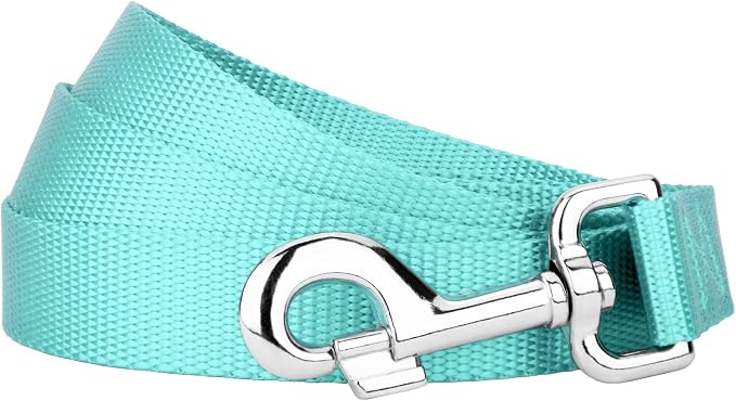 Country Brook Petz - Everyday Nylon Dog Leash - Strong, Durable, Solid Color Leash with Easy to Use Snap - 25+ Colors (1 Inch Wide, 6 Foot, Light Cyan)