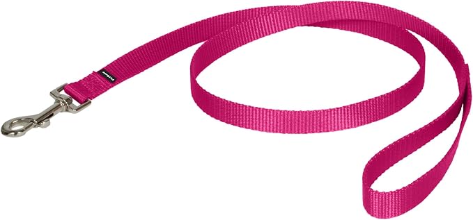 PetSafe Nylon Dog Leash Strong, Durable, Traditional Style Lead with Easy to Use Bolt Snap for Small, Medium and Large Dogs 3/4" x 4', Raspberry