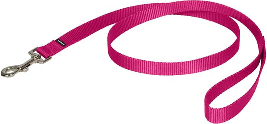 PetSafe Nylon Dog Leash Strong, Durable, Traditional Style Lead with Easy to Use Bolt Snap for Small, Medium and Large Dogs 3/4" x 4', Raspberry