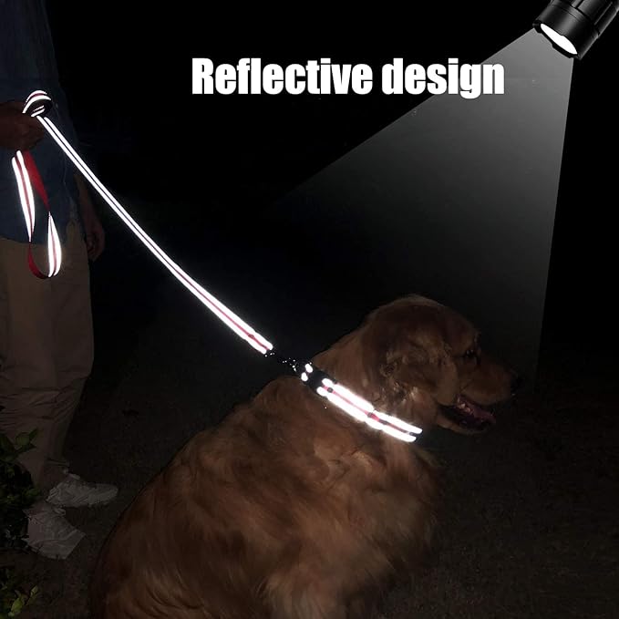 FunTags 6FT Red Reflective Dog Leash for Medium & Small Dogs Walking, Soft Padded Handle Comfortable Grip, Heavy Duty Nylon, Reflective for Night Walking, 3/4in Wide