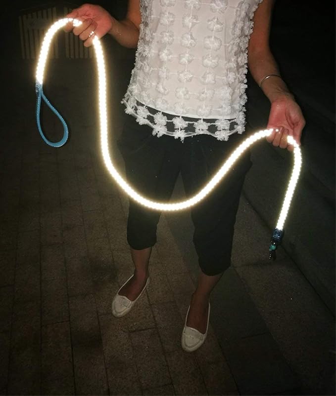 10 Foot Reflective Dog Leash Strong Nylon Rope Braided Heavy Duty for Large Medium Small Dogs Walking Training Leads (Green, 1/2")