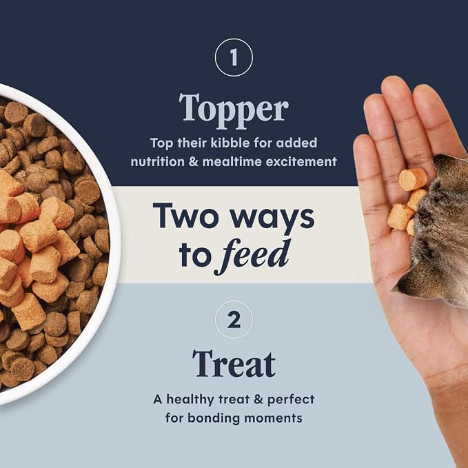 Instinct Raw Boost Mixers, Freeze Dried Cat Food Toppers with Functional Ingredients, Grain Free, Real Chicken - Digestive Health, 5.5 oz Bag