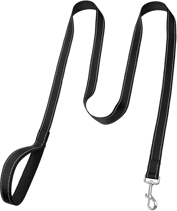 FunTags 6FT Black Reflective Dog Leash for Medium & Small Dogs Walking, Soft Padded Handle Comfortable Grip, Heavy Duty Nylon, Reflective for Night Walking, 3/4in Wide