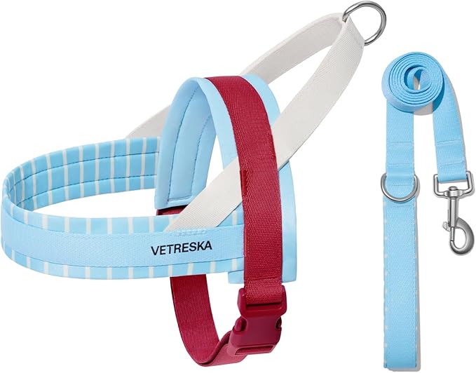 VETRESKA Dog Harness and Leash Set, Puppy Harness Adjustable, Easy Control No Choke Dog Harness for Small, Medium Dogs, Cats, Kitten, Dog Vest Harness with Anti-Tangle Leash, Misty Melo S