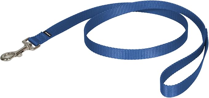 PetSafe Nylon Dog Leash Strong, Durable, Traditional Style Lead with Easy to Use Bolt Snap for Small, Medium and Large Dogs 3/4" x 4', Royal Blue