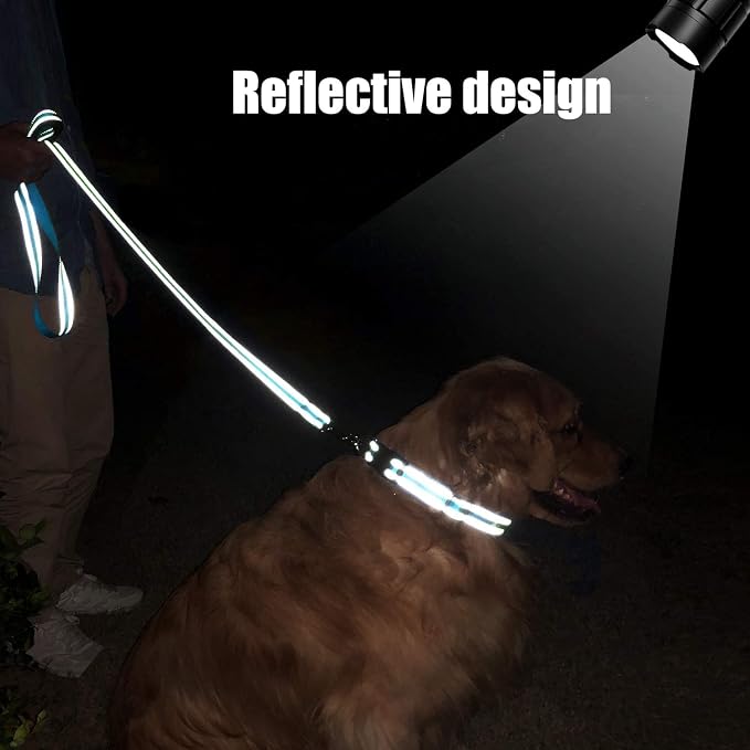 FunTags 6FT Sky Blue Reflective Dog Leash for Large & Medium Dogs Walking, Soft Padded Handle Comfortable Grip, Heavy Duty Nylon, Reflective for Night Walking, 1in Wide