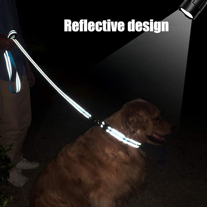 FunTags 6FT Sky Blue Reflective Dog Leash for Medium & Small Dogs Walking, Soft Padded Handle Comfortable Grip, Heavy Duty Nylon, Reflective for Night Walking, 3/4in Wide
