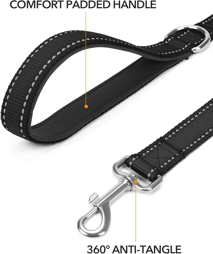 Taglory Dog Leash for Medium Large Dogs, Double-Sided Reflective for Night Walking, Neoprene Padded Handle, 1 inch by 6 ft, Heavy Duty for Medium Large Breeds 20-150 lbs, Black