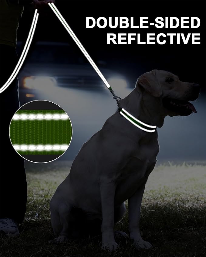 Taglory Dog Leash for Medium Large Dogs, Double-Sided Reflective for Night Walking, Neoprene Padded Handle, 1 inch by 4 ft, Heavy Duty for Medium Large Breeds 20-150 lbs, Green