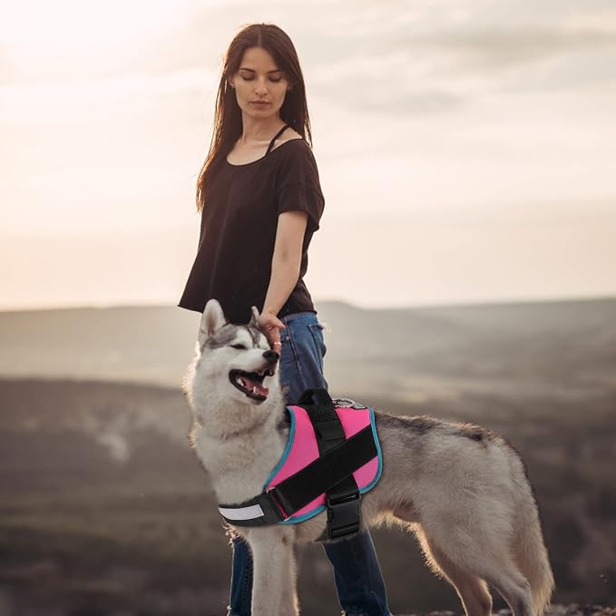 Dog Harness, No-Pull Reflective Dog Vest, Breathable Adjustable Pet Harness with Handle for Outdoor Walking - No More Pulling, Tugging or Choking Small (Pack of 1) RoseTurquoise