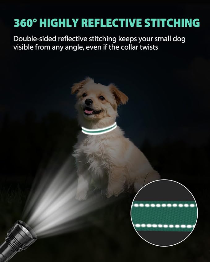Joytale Small Dog Collar, Durable Double-Sided Reflective Nylon Collar for Night Safety, Adjustable Quick-Release for Active Breeds, Teal, S (3/4" Width)