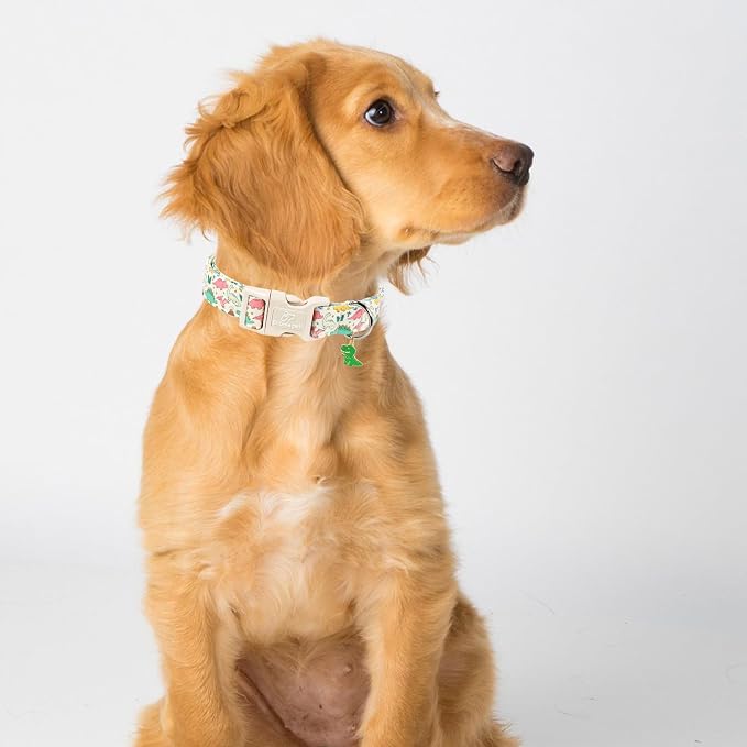 Dinosaur Dog Collar Cute Boy Dog Collars for Large Dogs - Lightweight Adjustable Cartoon Design Male Female Dogs Everyday Collar with Safety Buckle L