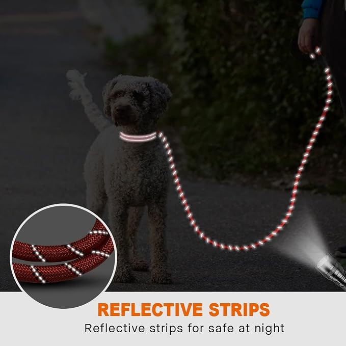 Taglory Rope Dog Leash 5 FT with Comfortable Padded Handle, Highly Reflective Threads Leash and Anti-Tangle Clip for Walking Small Dogs, 3/8 inch, Red