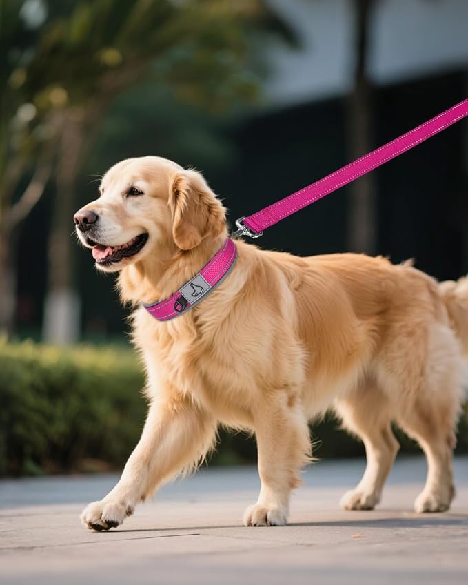 Joytale Dog Collar for Extra Large Dogs, Neoprene Padded and Adjustable, Reflective Wide Heavy Duty Pet Collars with Durable Metal Belt Buckle for Walking, Hotpink, XL