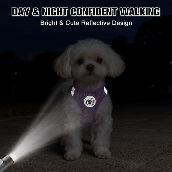 BEAUTYZOO Easter Dog Harness and Leash Set,Step in No Choke No Pull Soft Mesh Dog Harnesses Reflective for XSmall/Small Puppy Dogs Cats, Cute Coloful Egg Dog Vest for Outdoor Walking,Purple XS