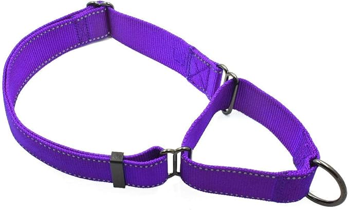 Max and Neo Nylon Extra Large Dog Martingale Collar - We Donate to a Dog Rescue for Every Collar Sold (Purple)