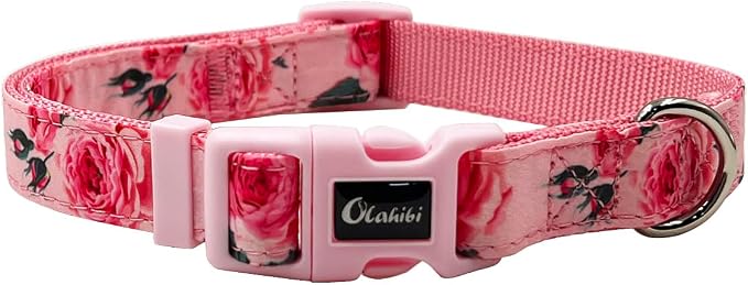 Dog Collar Leash Set, Floral Pattern, Nylon Webbing Plus Cotton Ribbon, 5ft Matching Leash, for Small Dogs.(S, Pink Rose)