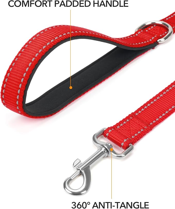 Taglory Dog Leash for Medium Large Dogs, Double-Sided Reflective for Night Walking, Neoprene Padded Handle, 1 inch by 4 ft, Heavy Duty for Medium Large Breeds 20-150 lbs, Red