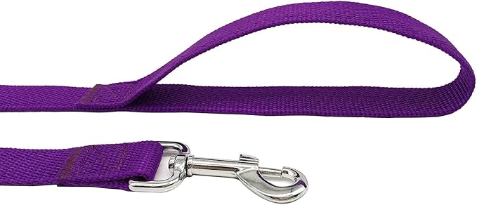 TAIAN 4FT/5FT/6FT Strong Dog Leash, Nylon Dog Leashes for Small Medium Large Dogs (3/4 in x 5 ft, Purple)