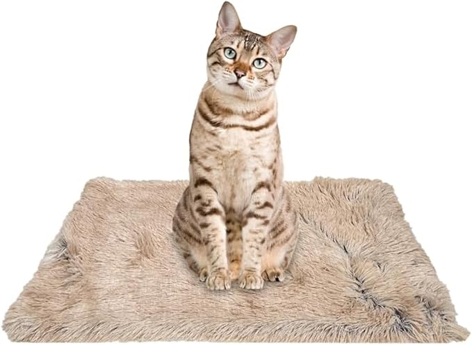 PJYuCien Dog Blanket for Dogs, Puppies and Pets, Lightweight & Portable Fluffy Fleece Throw, Super Soft Plush Cat Blanket for Couch/Car Seat/Furniture, Machine Washable, 16"x24", Beige