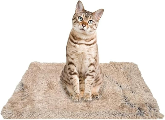 PJYuCien Dog Blanket for Dogs, Puppies and Pets, Lightweight & Portable Fluffy Fleece Throw, Super Soft Plush Cat Blanket for Couch/Car Seat/Furniture, Machine Washable, 16"x24", Beige