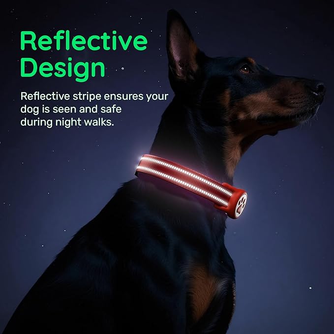 Airtag Dog Collar, Reflective Ultra-Durable Nylon Padded with QR Code Buckle & IP68 Waterproof Air Tag Holder Compatible for Apple AirTag, Comfortable for Small Medium Large Dogs(Red,L)