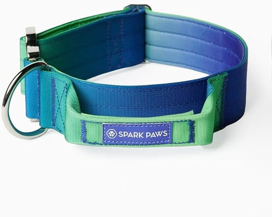 Spark Paws Tactical Dog Collar - Heavy Duty, Premium Quality, Thick and Durable for Large and Medium Dogs - Lime Wave - M