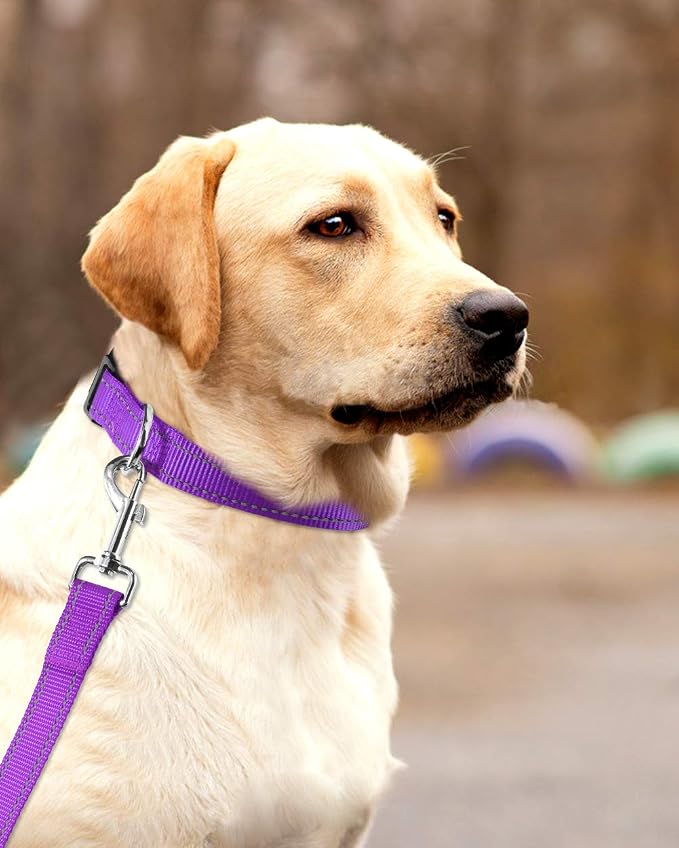 FunTags Length 16" - 24" Reflective Purple Dog Collar for Large Dogs – Night Walking & Training Safety, Durable Quick Release Buckle, Nylon, Comfortable Adjustable, Width 1"