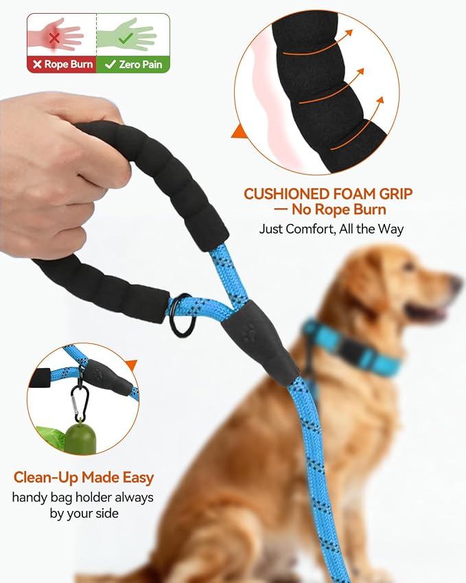 Joytale Dog Leash for Large Dogs, Heavy Duty Nylon Leashes with Comfortable Padded Handle and Highly Reflective Threads, Ideal for Walking and Training, SkyBlue, 6'×1/2''