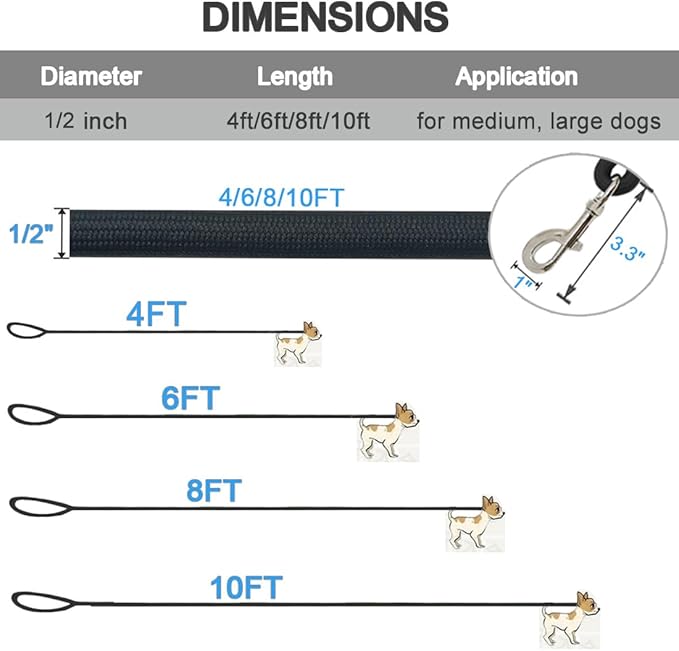 MayPaw 4/6 /8/10 FT Dog Leash, Classic Solid Colors, Strong Nylon Rope Dog Leash Reinforced with Leather Tailor Connection Heavy Duty Silver Clasp (Black, 8ft*1/2")
