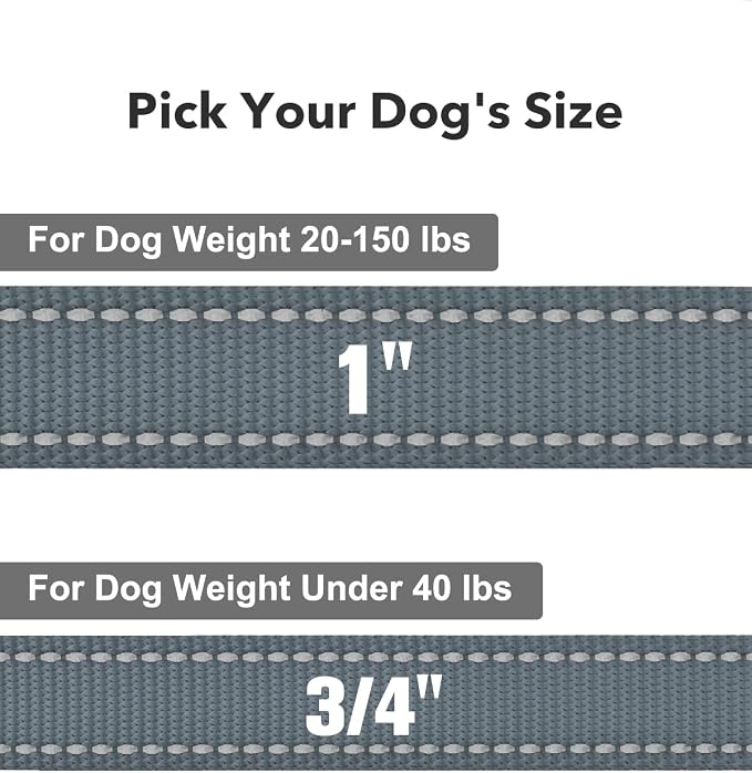Taglory Dog Leash for Small Dogs, Double-Sided Reflective for Night Walking, Neoprene Padded Handle, 3/4 inch by 4 ft, Lightweight for Small Medium Breeds up to 30 lbs, Grey