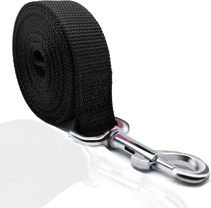 TAIAN 4FT/5FT/6FT Strong Dog Leash, Nylon Dog Leashes for Small Medium Large Dogs (Black, 1 in x 10 ft)