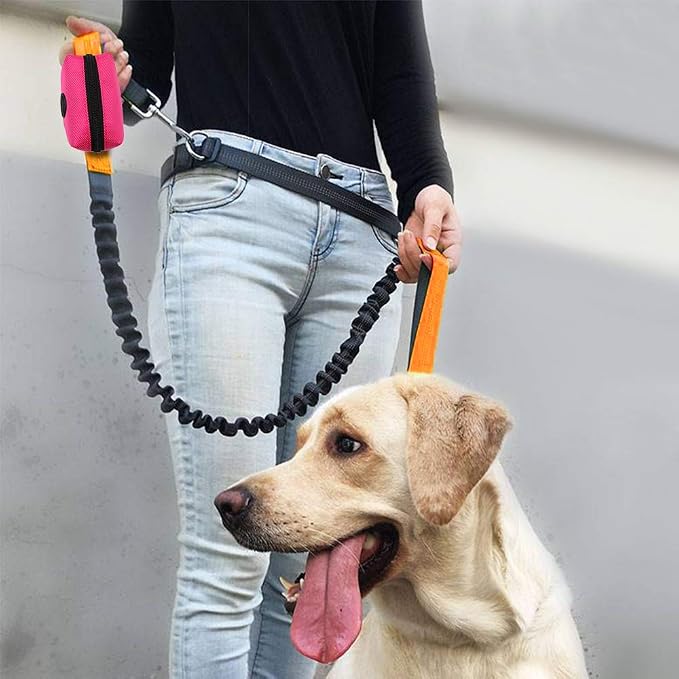 SLOSN 3 Pack Pet Waste Bag Dispenser with Zippered Portable Dog Poop Bag Holder, Great Accessory for Walking, Running with Dog (RoseRed Green Black)
