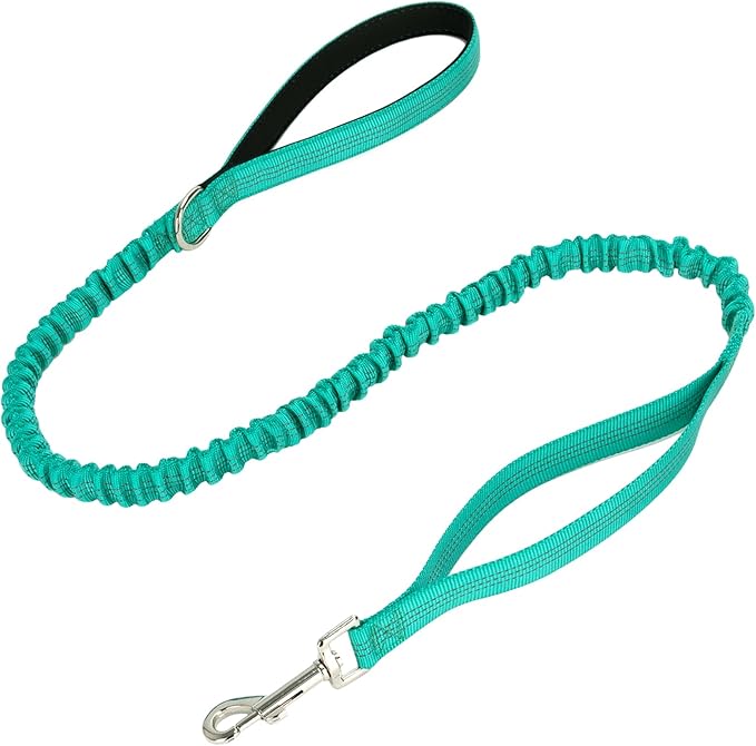 WYuZe 4 FT Bungee Dog Leash for Strong Small Dogs - Reflective, Shock Absorbing, Elastic Nylon Leash with Padded Handle for Safety Comfort No Pull Walking Training (Teal, 3/4"-Wide)