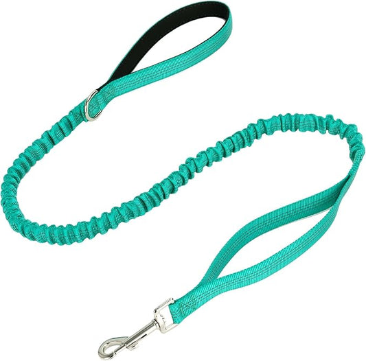 WYuZe 4 FT Bungee Dog Leash for Strong Small Dogs - Reflective, Shock Absorbing, Elastic Nylon Leash with Padded Handle for Safety Comfort No Pull Walking Training (Teal, 3/4"-Wide)