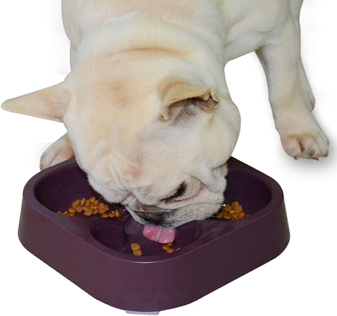 Healthy Slow Feeding Dog Bowl for French Bulldog -Slow Feeder Dog Bowl No Chocking Dog Cat Food Water Bowl with Four-Leaf Clover Pattern (Coffee)