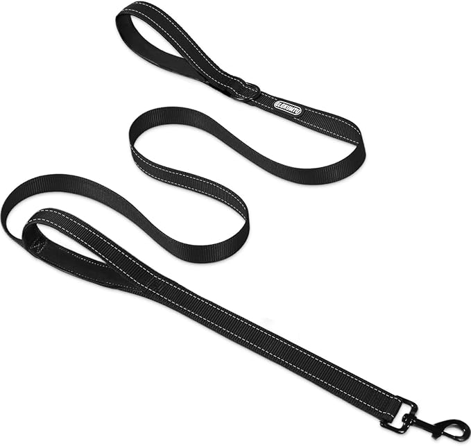 Heavy Duty Dog Leash with 2 Comfortable Padded Handles, 6 FT Traffic Handle Extra Control, Highly Reflective Threads Leash for Small/Medium/Large Dogs (Black)