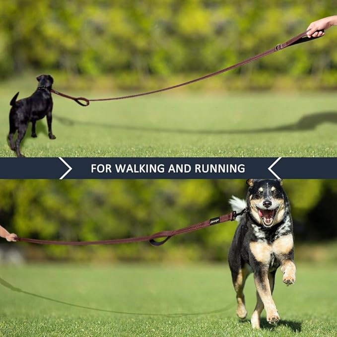 Plutus Pet Double Handle Dog Leash 5ft, Heavy Duty, Reflective Dual Handle Dog Leash for Safety Training, for Medium Large Dogs,2 Handle Leads, Chocolate